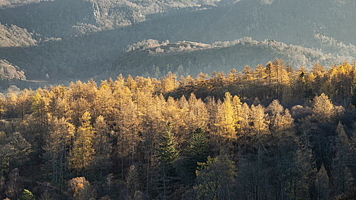 Stunning Autumn Fall landscape image of the view from Catbells in the Lake District with vibrant Fall colors being hit by the late afternoon sun