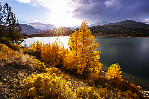 Scenic view of Sierra Nevada Mountain. fall foliage landscape. California,USA.