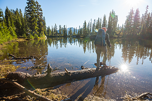 Serenity lake in the mountains in summer season. Beautiful natural landscapes.