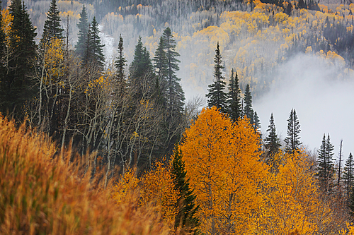 Late Autumn season in mountains