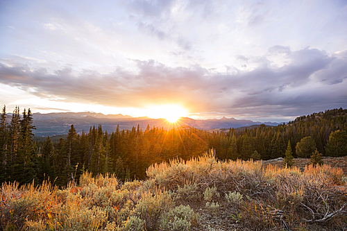 Sunny autumn meadow. Natural background.