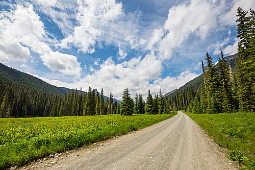 Scenic road in the mountains. Travel background.