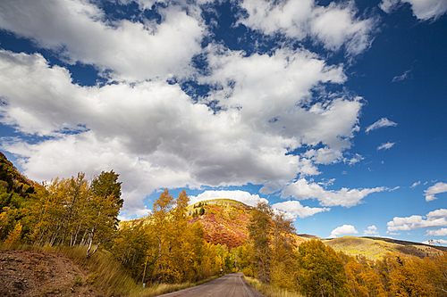 Colorful Autumn scene on countryside road in the forest