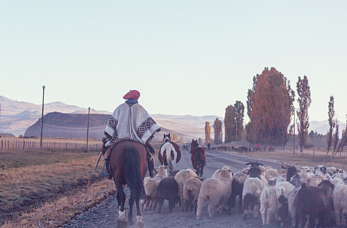 Gauchos ahd herd of goats in Patagonia mountains, Argentina