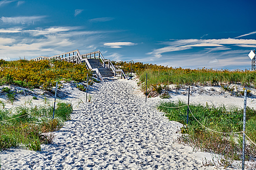 Access trail to Crane beach, Ipswich, Massachusetts, USA
