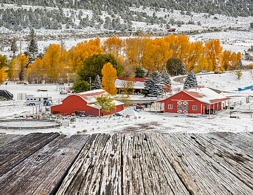 Season changing, first snow and autumn trees. Rocky Mountains, Colorado, USA.