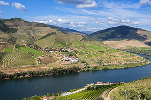 Douro Valley. Vineyards landscape of the Porto wine, near Pinhao village, Portugal. View from Casal de Loivos