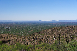 View of Tucson, Arizona from Mt Lemmon Scenic Byway with saguaro cactus in the foreground