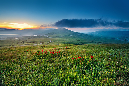 Spring sunset in the hills with red flowers blooming