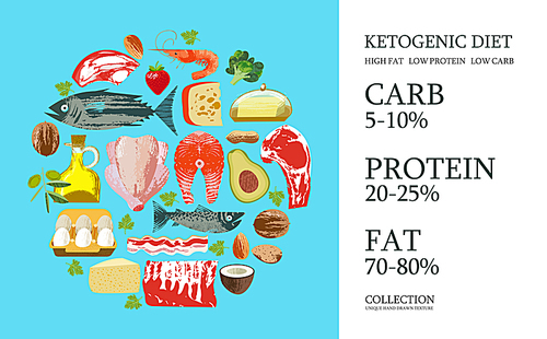 Ketogenic diet. A large set of products for the keto diet. Vector illustration with unique hand drawn texture. Meat, fish, vegetables, oils, nuts, eggs. Colorful poster with different products.