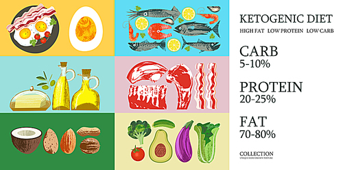 Ketogenic diet. A large set of products for the keto diet. Vector illustration with unique vector hand drawn texture. Colorful poster with different products.