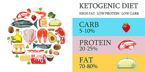 Ketogenic diet. A large set of products for the keto diet. Vector illustration with unique hand drawn texture. Meat, fish, vegetables, oils, nuts, eggs. Colorful poster with different products.