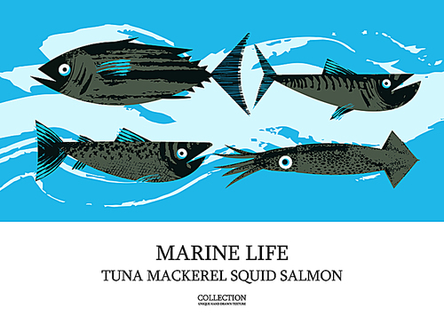 Seafood. Fish. Colorful vector illustration, a collection of images of different fish with a unique hand drawn vector texture. Poster of tuna, mackerel, salmon, squid.