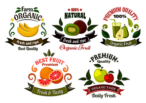 Organic food emblems of healthy fresh fruits with apples, bananas, oranges, kiwis and pears with juice, framed by green leaves, vintage ribbon banners and colorful swirls
