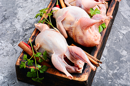 Fresh raw quail on a kitchen board and ingredients.Quail meat