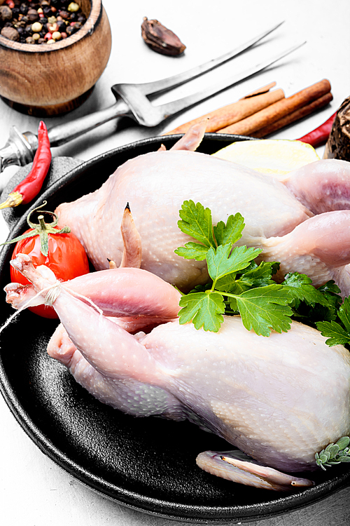 Fresh raw quail on a kitchen board in the pan.Quail meat