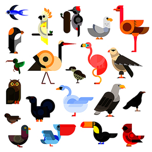 Cartoon flat icons of owl and eagle, swallow and hummingbird, parrot and falcon, penguin, stork and swan, sparrow and pigeon, flamingo and gull, ostrich and raven, pecker and toucan, cardinal and pelican, blackcock and kiwi birds