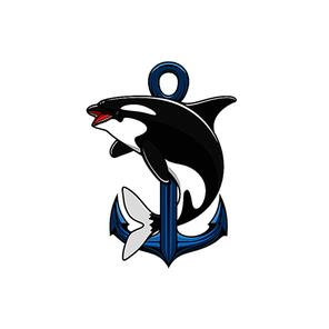 Killer Whale and Anchor icon. Heraldic emblem. Vector nautical shield for template, t-shirt, sign