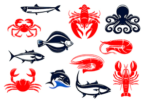 Seafood icon set with fish and crustacean. Crab, shrimp, salmon, lobster, octopus, tuna, prawn, flounder, crayfish, anchovy isolated icons for seafood menu and fishing sport design