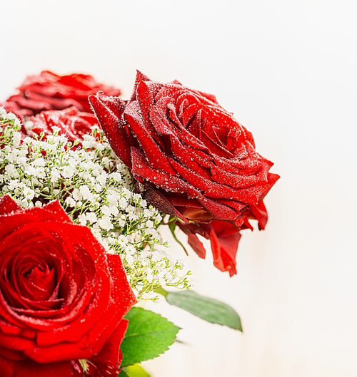 Red roses on light background, close up, side view, Festive roses bouquet