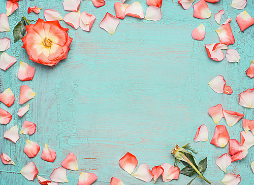Frame made ??out of pink pale rose petals on blue turquoise background, top view. Festive greeting card