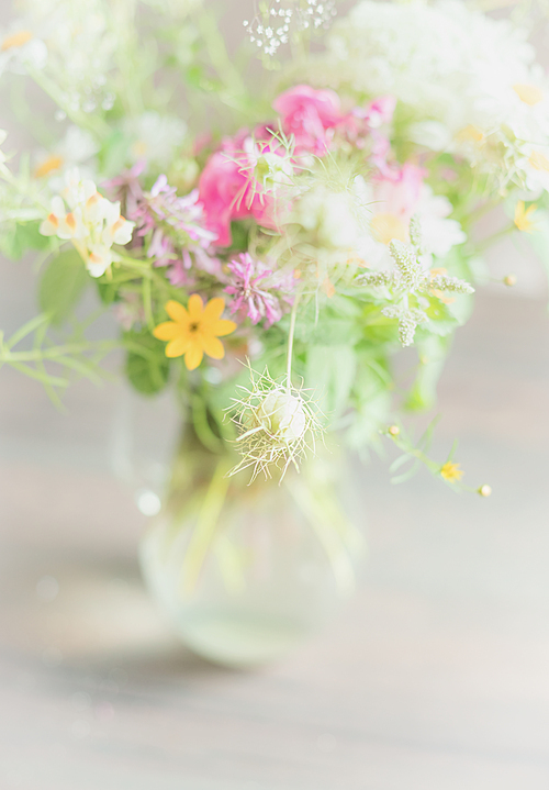 Beautiful wild flowers bunch in glass vase on light background, soft focus, close up. Home   decoration and interior