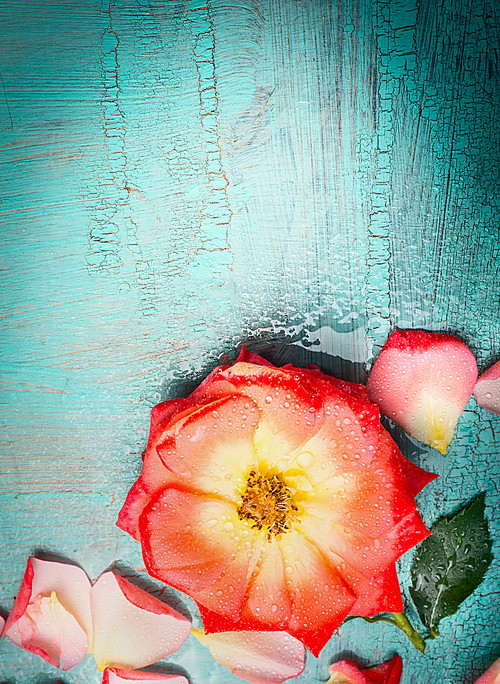 Pretty flowers border on turquoise  blue background, top view, greeting card
