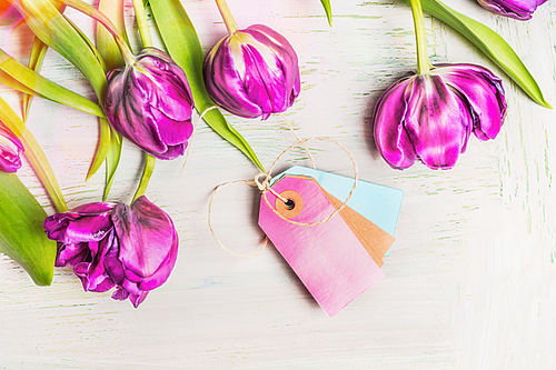 Lovely fresh tulips with empty tags on light shabby chic background, top view. Spring flowers concept.