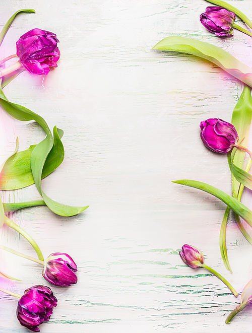 Tulips frame on light shabby chic background, top view, vertical. Spring flowers concept.