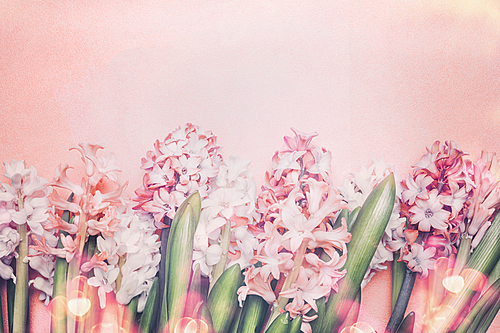 Lovely Hyacinths flowers  with bokeh on pastel pink background, top view. Springtime and gardening concept