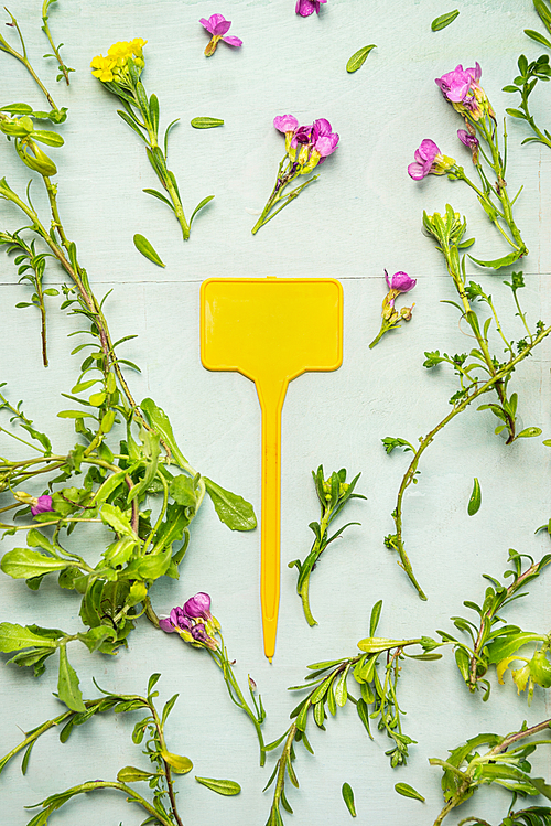 Garden bloom plant wirh yellow sign on green wooden table, top view, copy space