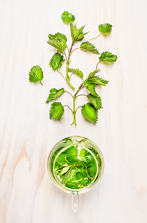 Nettle and glass tea pot on white wooden background, top view