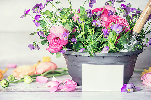 Close up of Flowers pot with shovel and white paper greeting card on table, front view, container  gardening concept