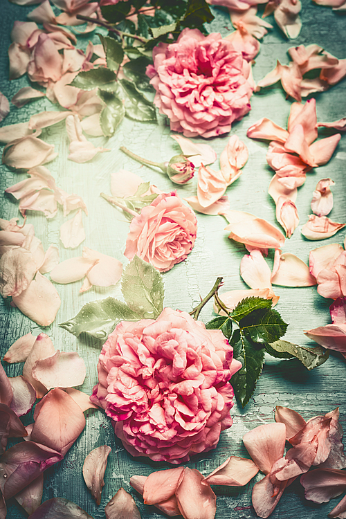 Pink roses composing with flowers petal and leaves on turquoise  shabby chic background, top view, retro toned, vertical
