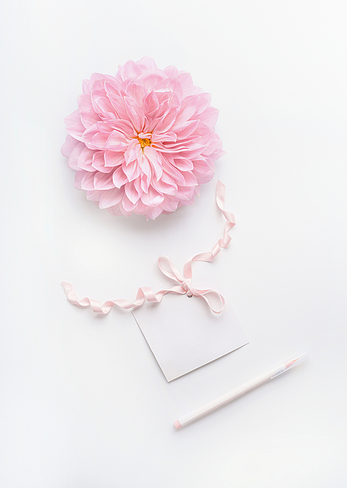 Pastel color mock up with pink flower, blank paper card with ribbon and point pen on white desktop background, top view. Layout of greeting card for Mothers day, wedding or happy event