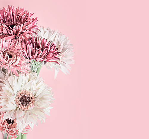 Pastel pink floral background with aster, Gerbera and daisies flowers bunch