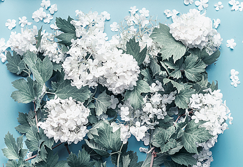 Pastel flowers blooming on blue background