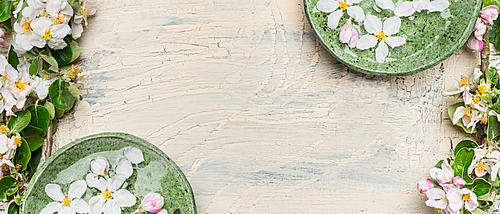 Green water bowls with white blossom on light shabby chic wooden background. Wellness and spa concept. Spring blossom background, top view, banner