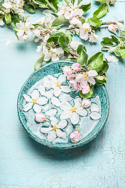 Floating blossom flowers with green leaves in  Turquoise blue water bowl on shabby chic wooden background, top view. Wellness and spa concept.