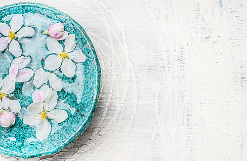 White flowers in turquoise blue water bowl on light shabby chic wooden background, top view, place for text. Wellness and spa concept. Spring blossom background