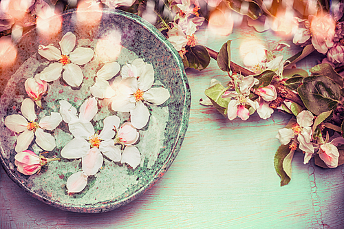 Water bowl with spring blossom and bokeh , top view, border. Springtime concept