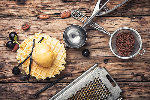 Colorful ice cream balls with vanilla pods on waffles