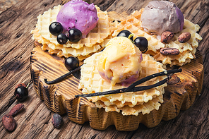 Colorful ice cream balls with vanilla pods on waffles