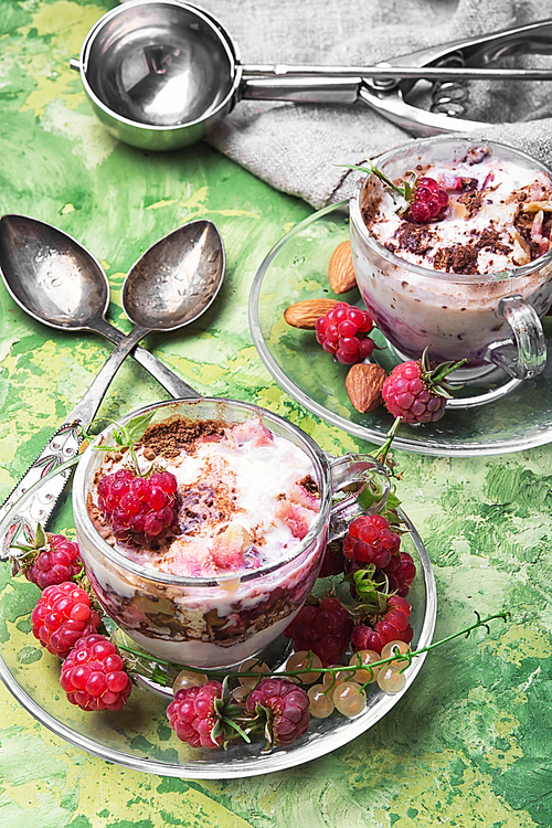 Vanilla ice cream in glass bowls with raspberry gourmet flavours