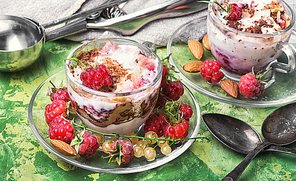 Vanilla ice cream in glass bowls with raspberry gourmet flavours