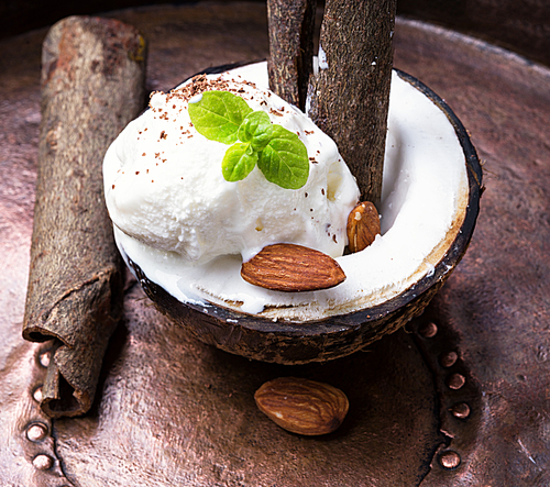 Ice cream with almond and cinnamon flavor in a coconut dish