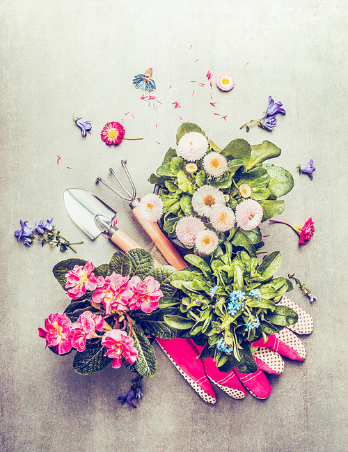 Gardening tools and pots with flowers, top view, retro toned