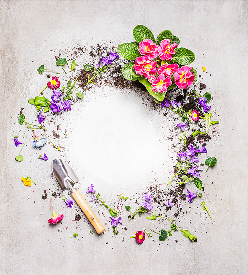 Gardening background with shovel and garden flowers on gray stone background, top view, round frame