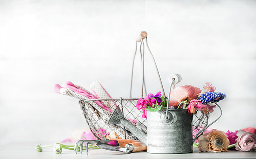 Pretty gardening setting with watering can , basket, gardening tools and flowers at white wall background, front view.