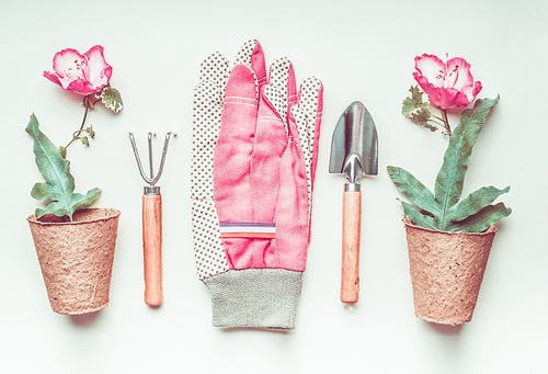 Gardening tools set layout with plant, flowers pot and pink gloves, top view, flat lay